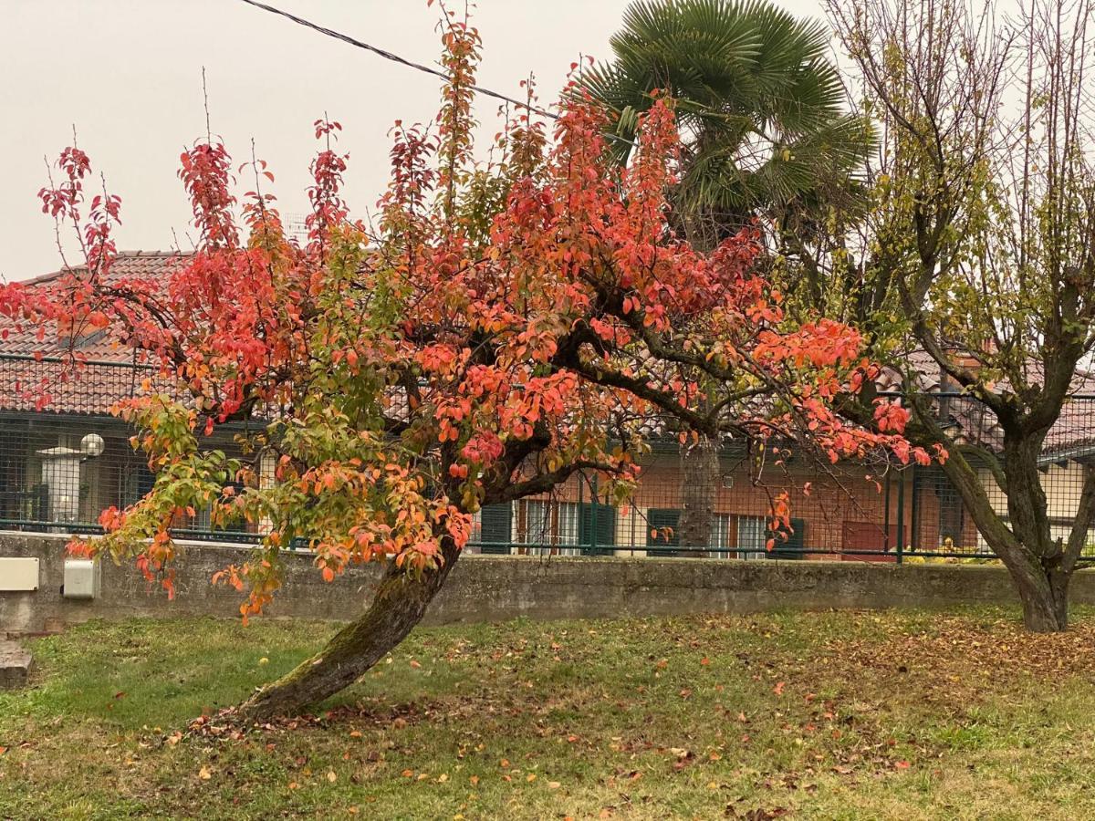 Vila Al Vecchio Pero, Con Ampio Giardino Privato La Morra Exteriér fotografie
